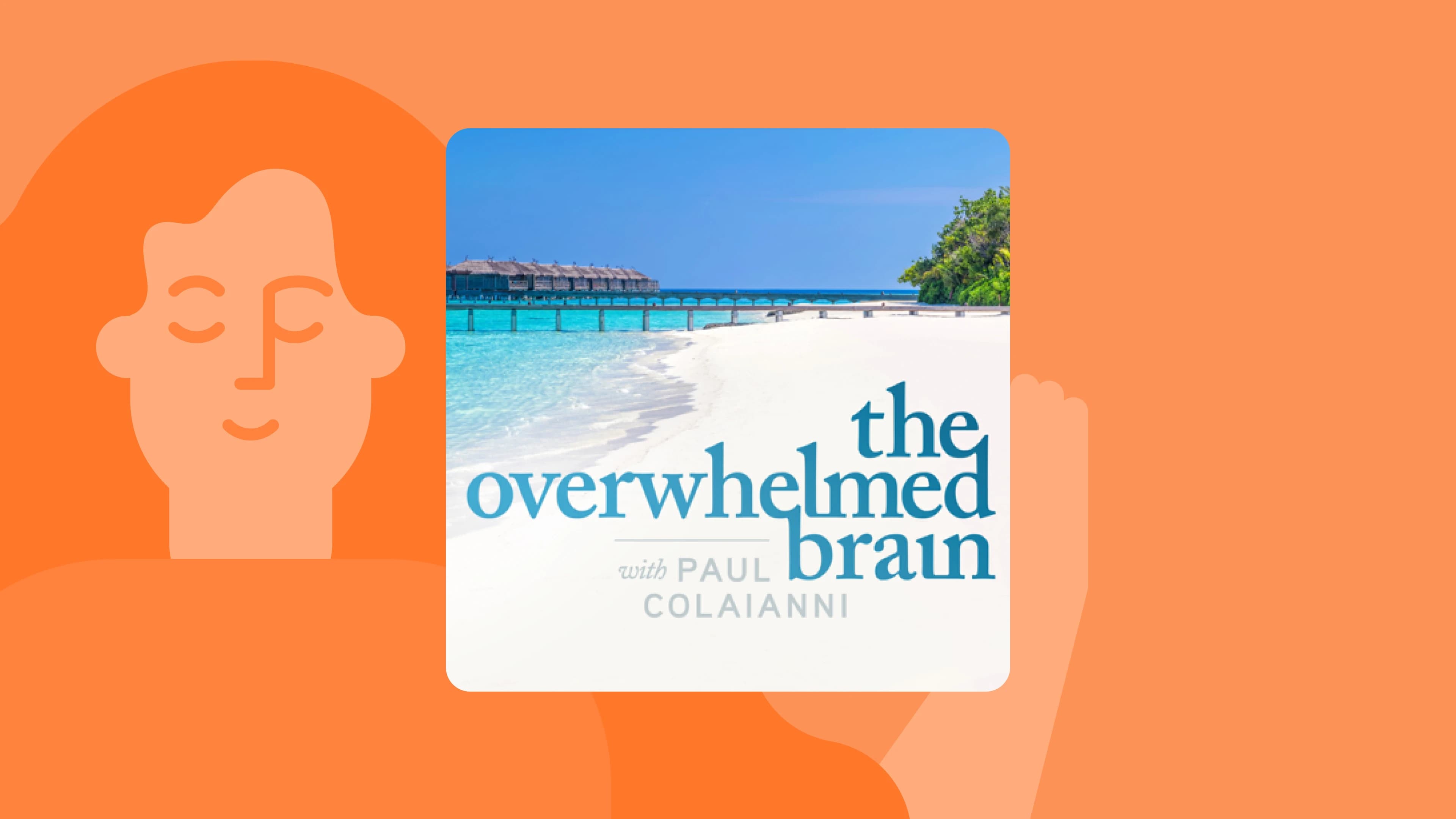 the_overwhelmed_brain