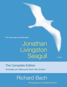 'Jonathan Livingston Seagull' by Richard Bach summary