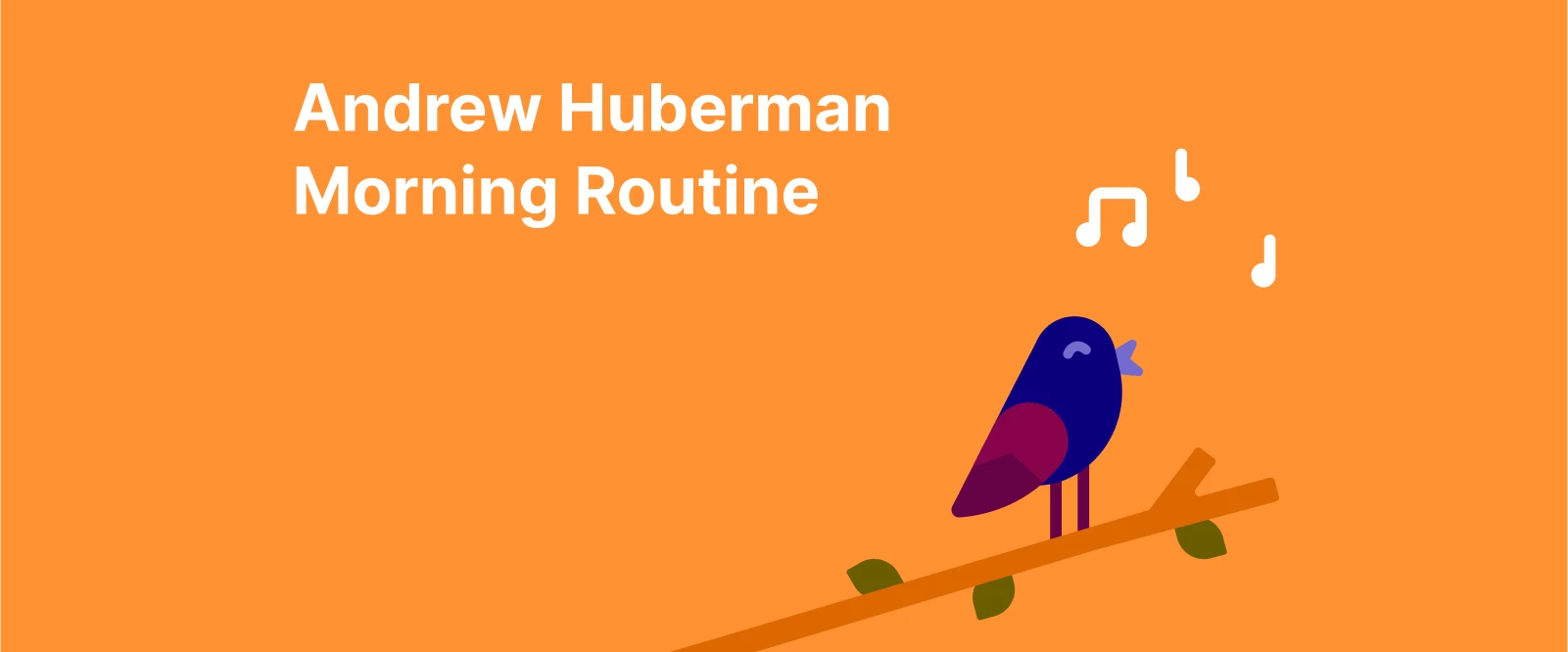 Illustration of a bird singing on a branch at sunrise with text Andrew Huberman Morning Routine, symbolizing healthy morning habits