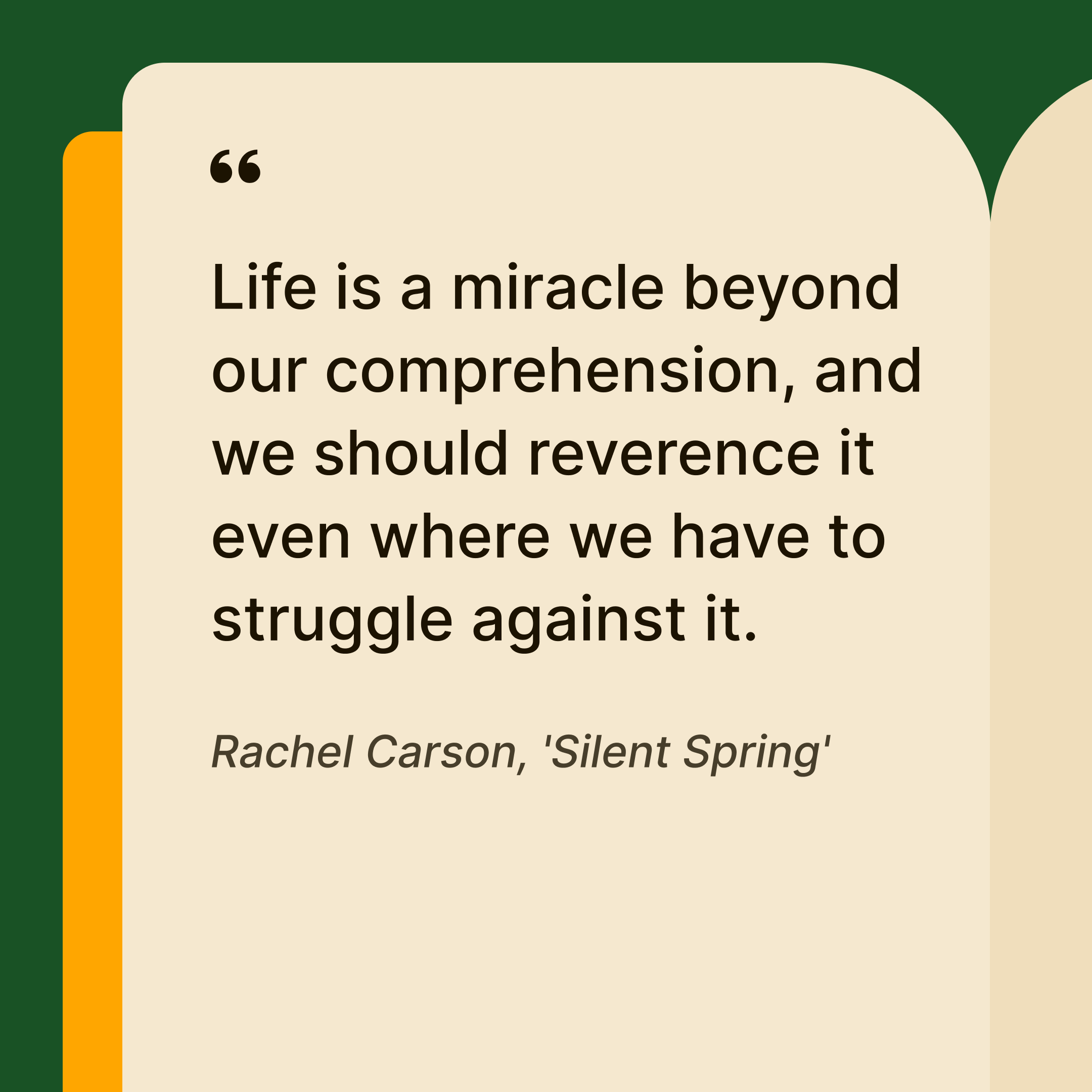 rachel-carson-insights-about-life-miracles