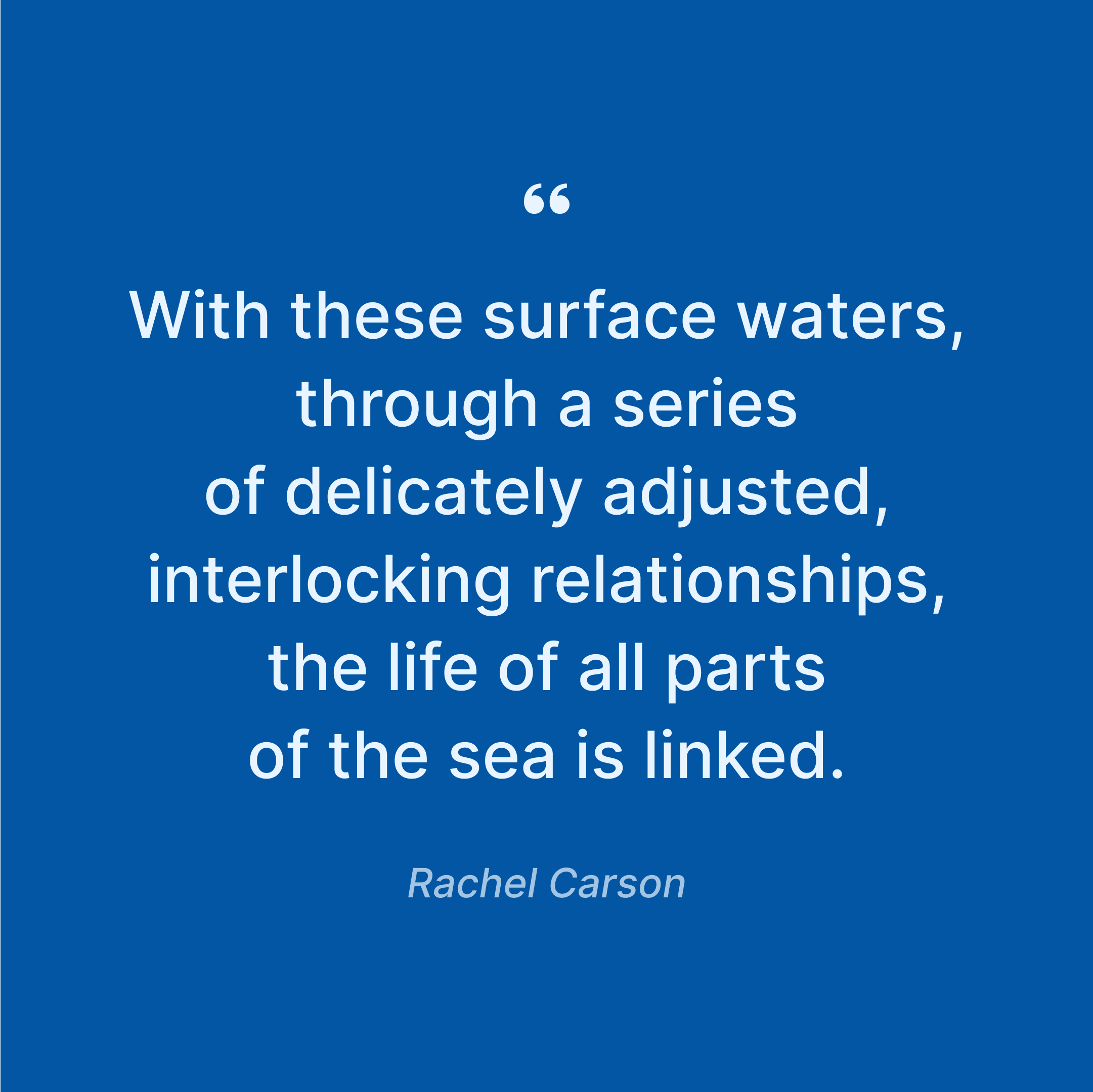 rachel-carson-reflections-on-life-and-sea