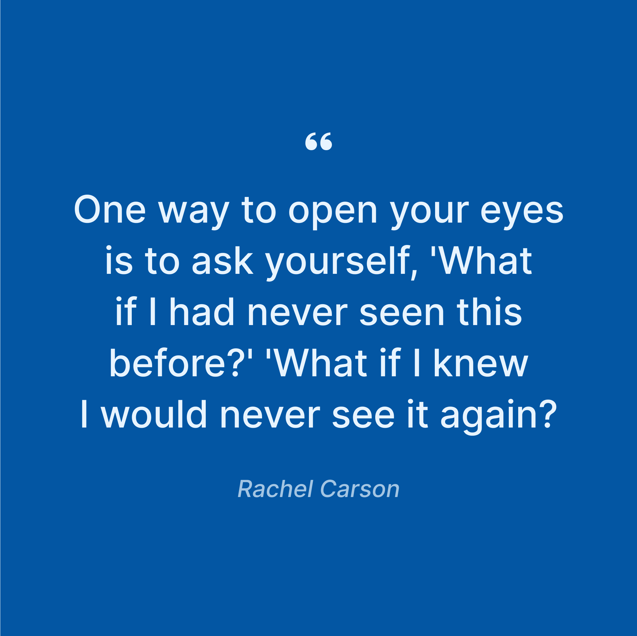 rachel-carson-expressions-about-opening-your-eyes