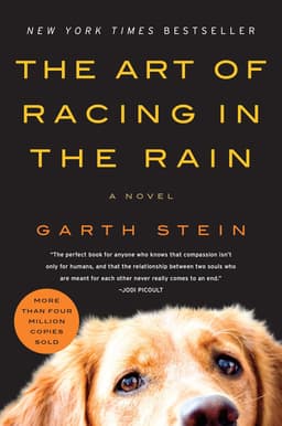 books like call of the wild_the art of racing the rain